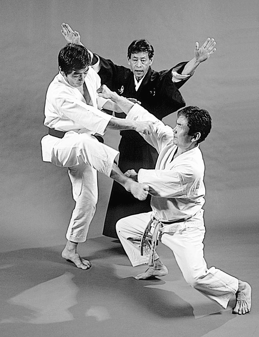 Mestres Osamu Ozawa, Hirokazu Kanazawa e Fumio Demura